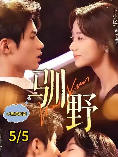 《漫长的季节》详情海报